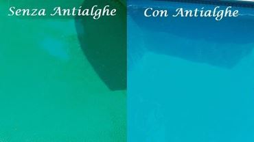 Immagine per la categoria Antialghe